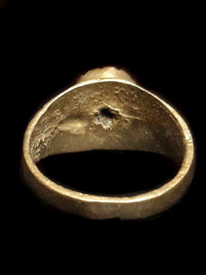 Immortal vampire crowned prince varien medieval france french notre dame cathedral viollet de luc boston coven spirit vessel ring size 8.5 guide mentor help aid assist in all endeavors areas of life and spirit